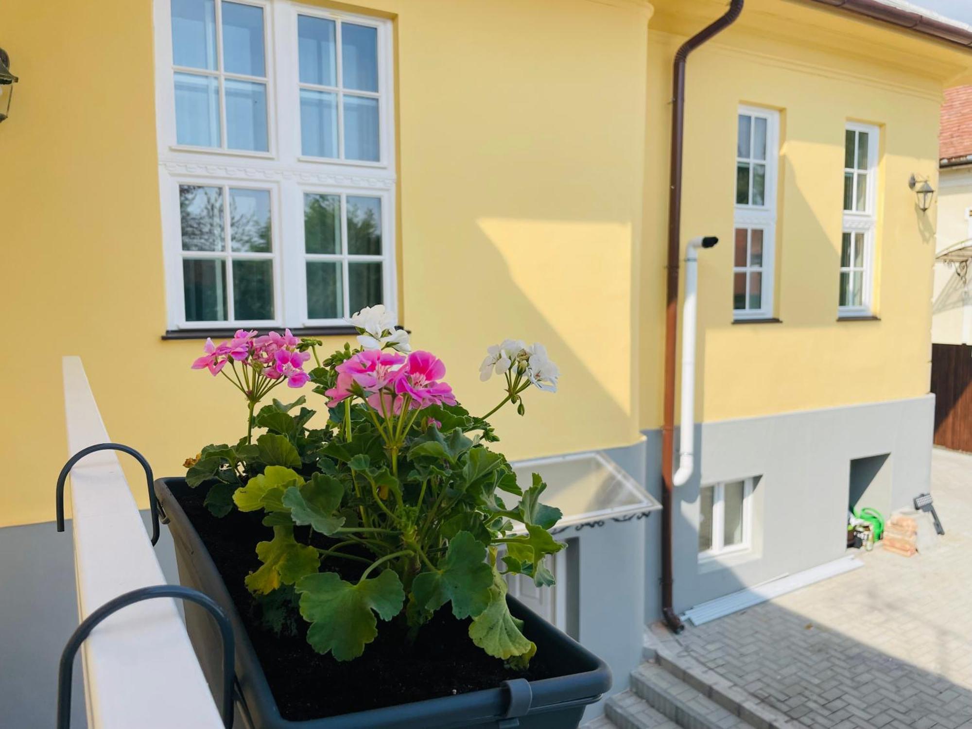 Villabaroque_Eger Exterior foto